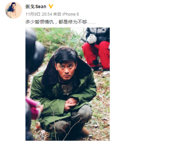 张戈求婚王鸥照曝光 知情人证二人曾结婚