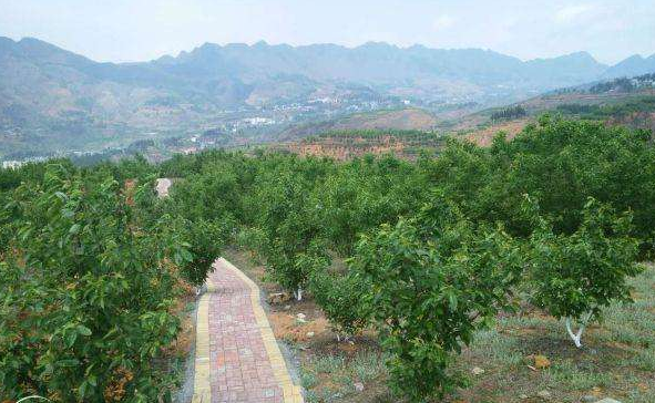 （中首）美了美了！贵州8村入选"国家级"最美休闲乡村名单