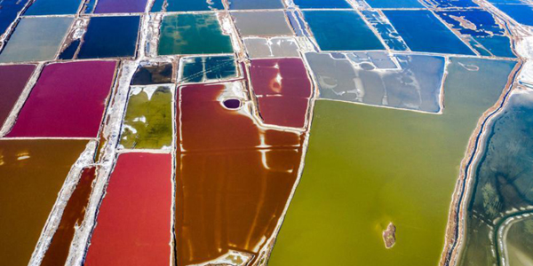 图片默认标题_fororder_yanhu3