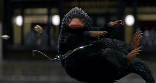 奧斯卡團隊打造《神奇動物在哪》 試映獲滿分