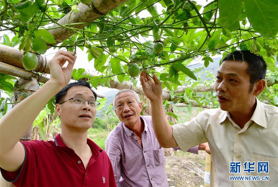 福建龙岩:“土楼之乡”的变迁 福建龙岩:“土楼之乡”的变迁