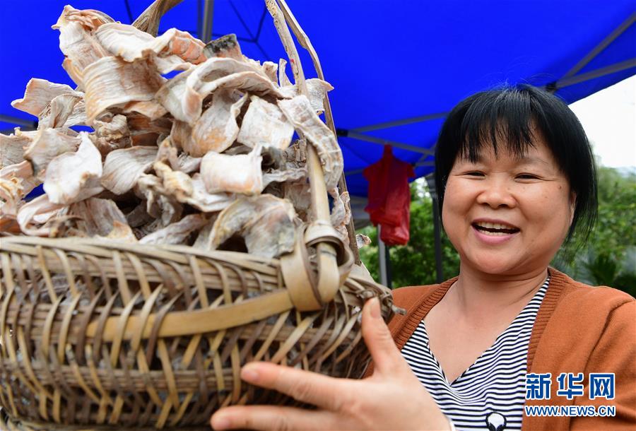 福建龙岩:“土楼之乡”的变迁 福建龙岩:“土楼之乡”的变迁