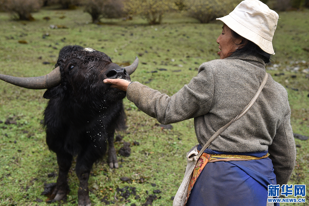 【新时代·幸福美丽新边疆】卓嘎:北京归来更幸福