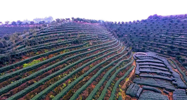 图片默认标题_fororder_jj