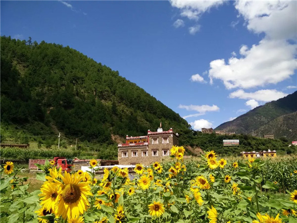 厌倦了城市的"钢筋丛林 到甘孜州雅江县享受田园的味道