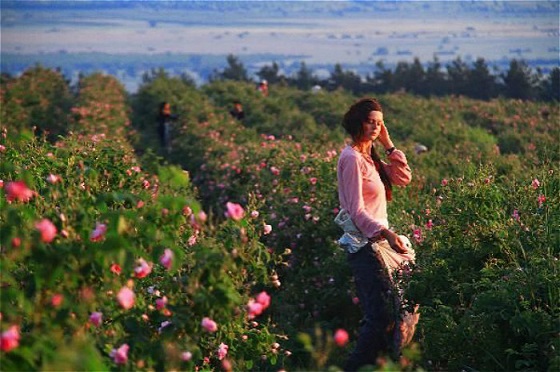 Tao整体家居：赠予女性，以玫瑰的幸福力