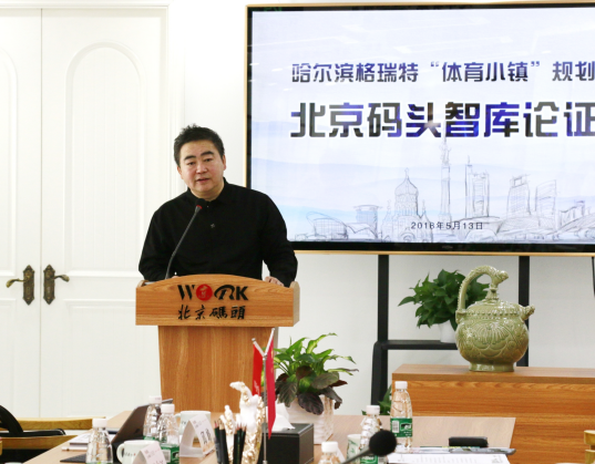 黑龙江“冰球小镇”体育经济定位论证会在北京码头智库召开 黑龙江“冰球小镇”体育经济定位论证会在北京码头智库召开