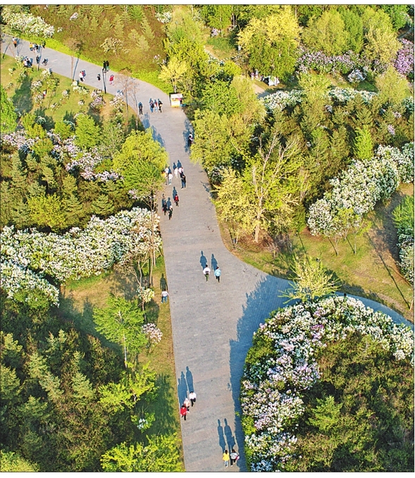 圖片默認標題 圖片默認標題_fororder_2