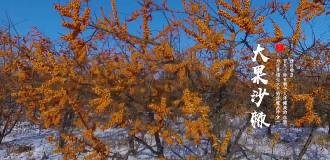 11月18日,黑河文化旅遊將攜手黑河極境寒養品牌閃耀上海環球港