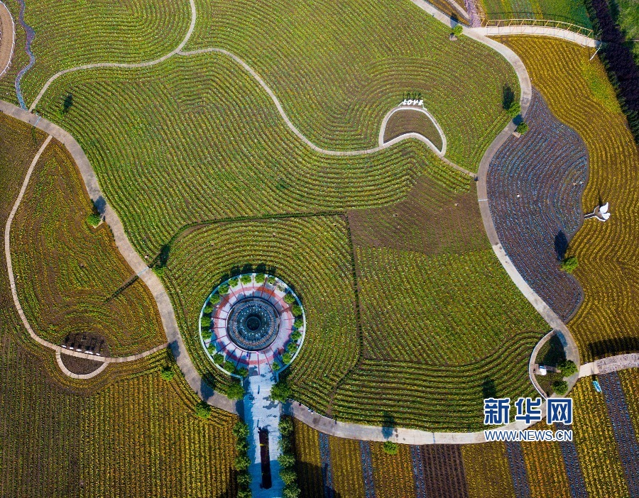 天津：紫云水岸 风景如画