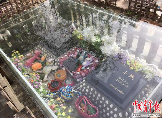 北京六环外一处"宠物墓地".中国青年报·中青在线记者 玄增星/摄