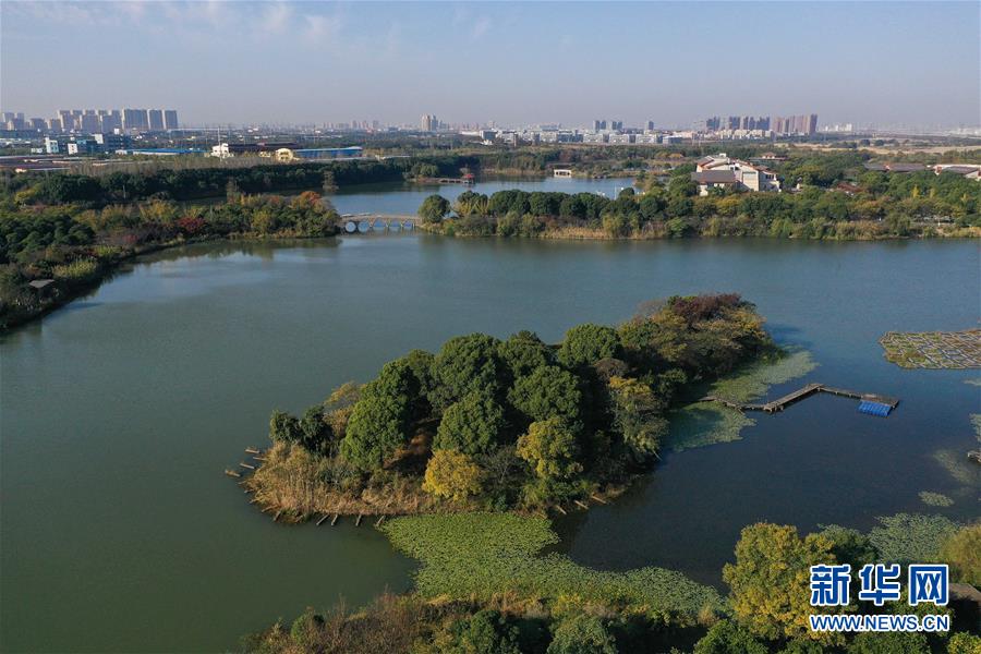 江蘇昆山：濕地公園美