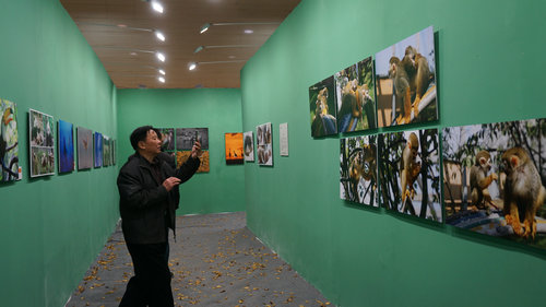 图片默认标题_fororder_hjghjhg