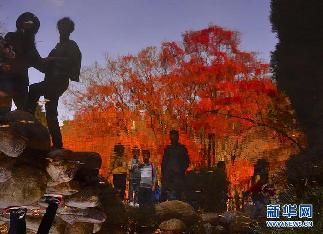 图片默认标题_fororder_5