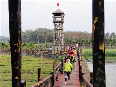 海南民宿吹起海島風 海南民宿吹起海島風