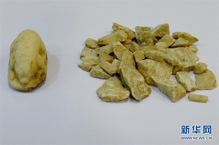 西安隋唐长安城东市遗址考古发掘取得新进展