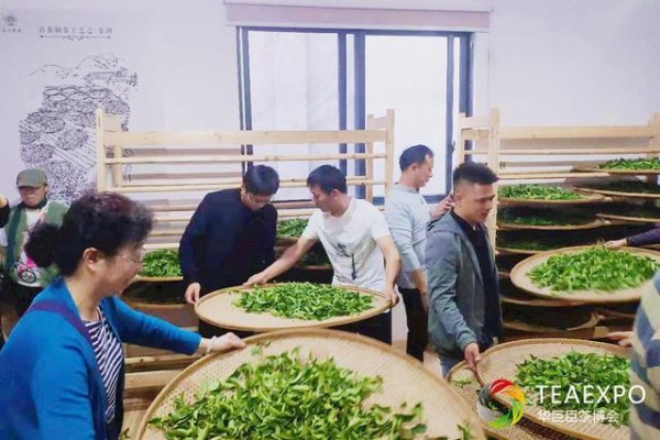人气爆满！“走百企·进百店·入百园”圆满落幕