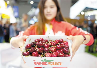 【城市遠洋+圖】第二十屆中國綠色食品博覽會將在鄭州舉行