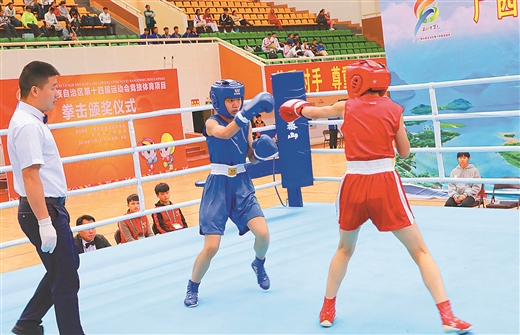 拳击比赛在广西凌云赛区精彩上演