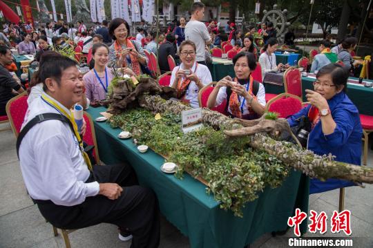 兩岸茶人齊聚武夷 一方茶席托起兩岸情緣