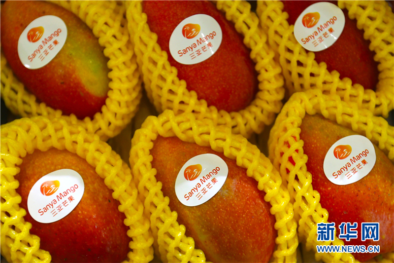 海南（屯昌）农博会：琳琅满目的热带水果引人驻足