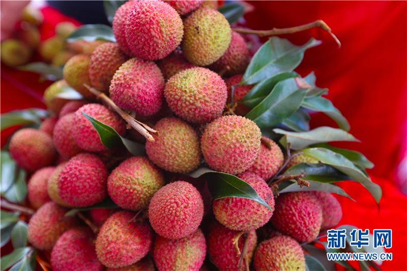 海南（屯昌）農博會：琳琅滿目的熱帶水果引人駐足