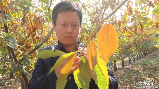 圖片默認標題_fororder_c60ffaff-ca0c-4a2f-a3fe-568ab52b73d5