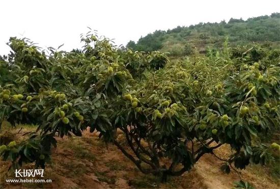 圖片默認標題_fororder_52fda27a-7e66-4ffb-8e1e-8c7d7c53aabf