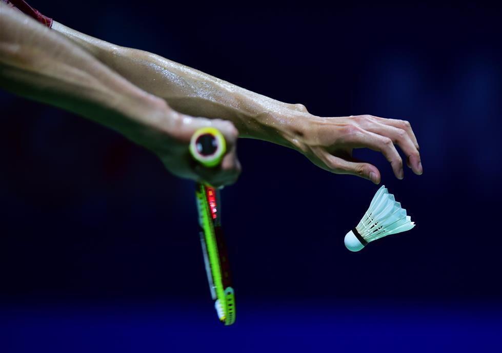 中国羽毛球公开赛：谌龙获男单亚军