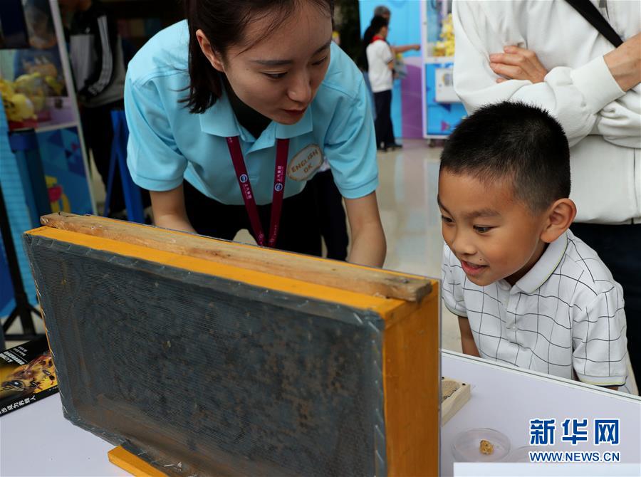 上海举办青少年科技节