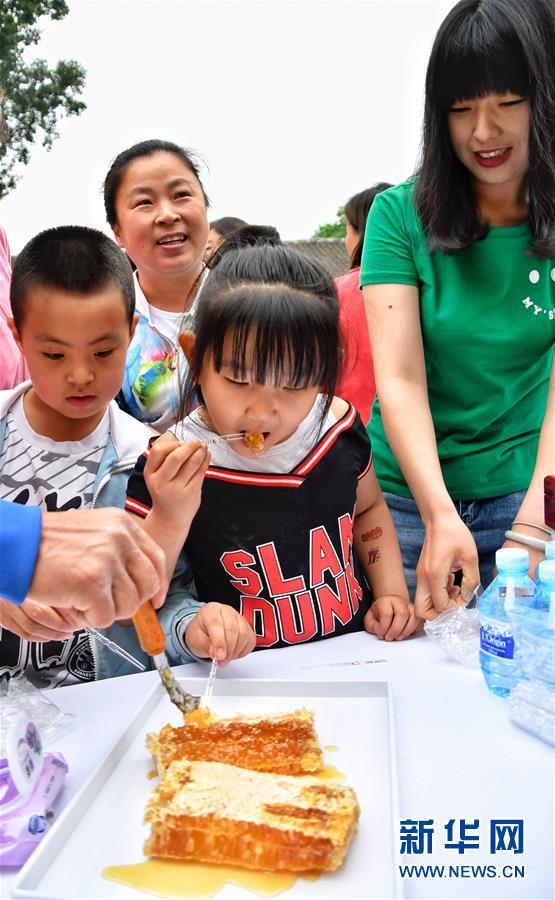 北京密云：燕山深处崖蜜飘香