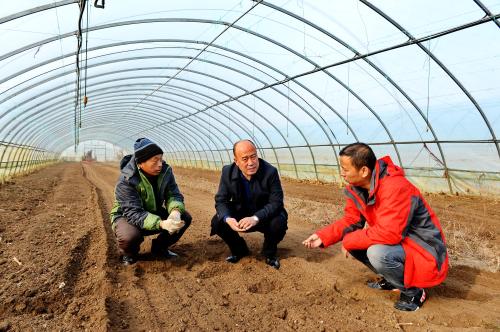 呂塞峰:衣“金”還鄉帶富大勝村