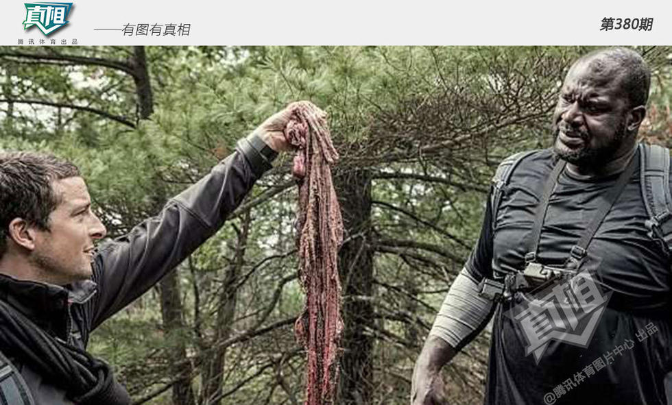 【真相】敢与贝爷共舞 大姚竟吃它女星被吓哭