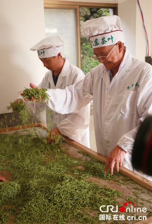 恩施“巴东郡贡茶“亮相第二届中国国际茶叶博览会