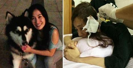 叶璇“狗官司”逆袭李依晓 撰长文详述伤人始末