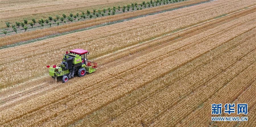 圖片默認標題_fororder_1122870844_15269793579291n