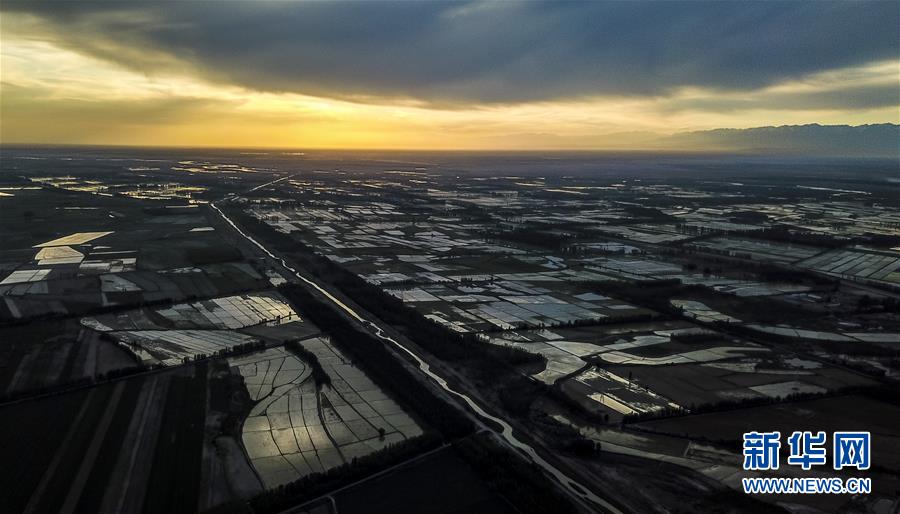 新疆伊犁河谷稻田生态美