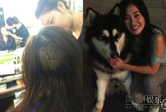 李依晓起诉名誉权案缺席审判 叶"狗"官司胜出