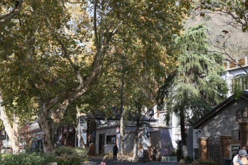 十佳魅力路线走进德清 感受山水、人文之美