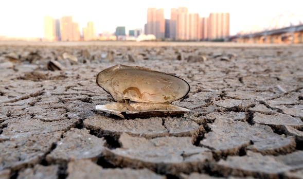 松花江哈爾濱段水位11年來最低