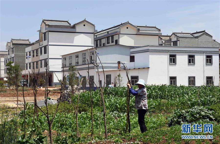 走访云南曲靖美丽宜居乡村