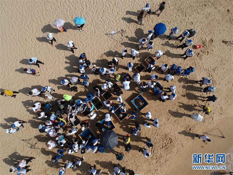 中國海龜保護聯盟在海南三亞成立