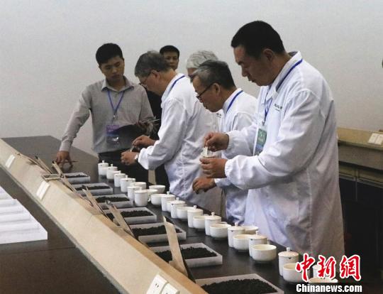 两岸千余茶农漳州赛茶 台方参与热度创新高 两岸千余茶农漳州赛茶 台方参与热度创新高