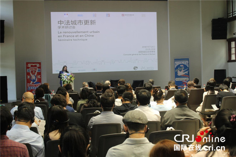 中法城市更新研讨会在武汉举行