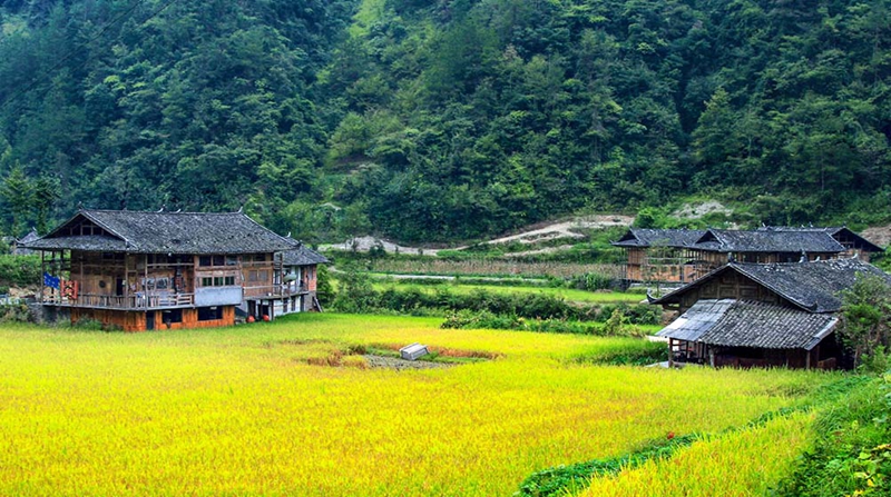 全国网络媒体行走进黔江千年古寨感受古老的土家族文化