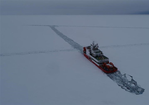 图片默认标题_fororder_1-1