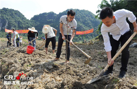 【唐已審】【供稿】【園區建設】【八桂大地、八桂大地-百色】【移動端】 百色市田陽縣黨支部深入一線促脫貧