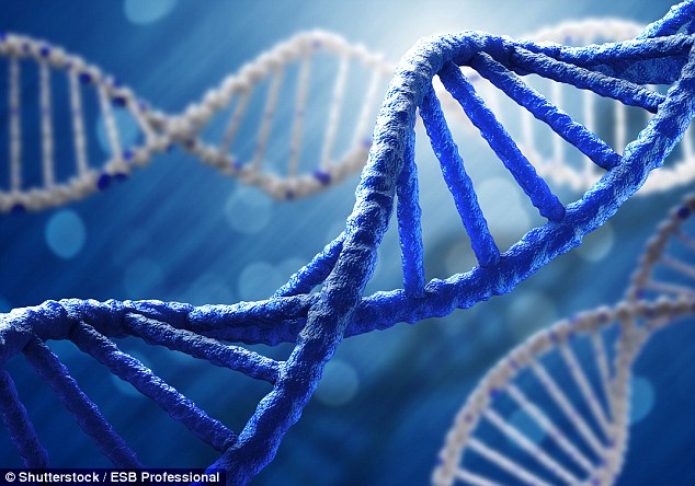 然而,同样需要谨记的是,遗传因子并不是孤立地发挥效力.