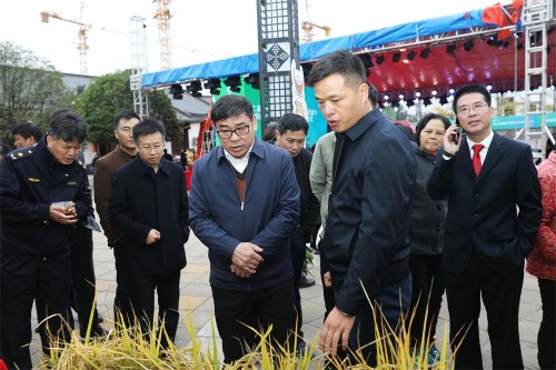 仁城瞩目，安仁县"仁品荟"区域公用品牌重磅发布！