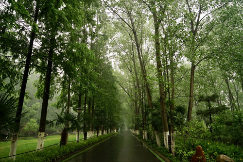 Ditët impresionuese në Hefei